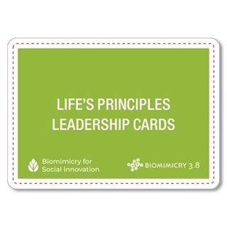Life's Principles Leadership Cards